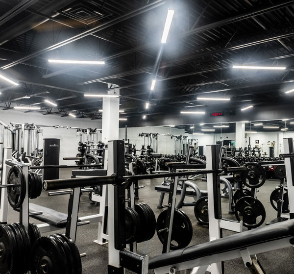 From Cardio to Heavy Iron