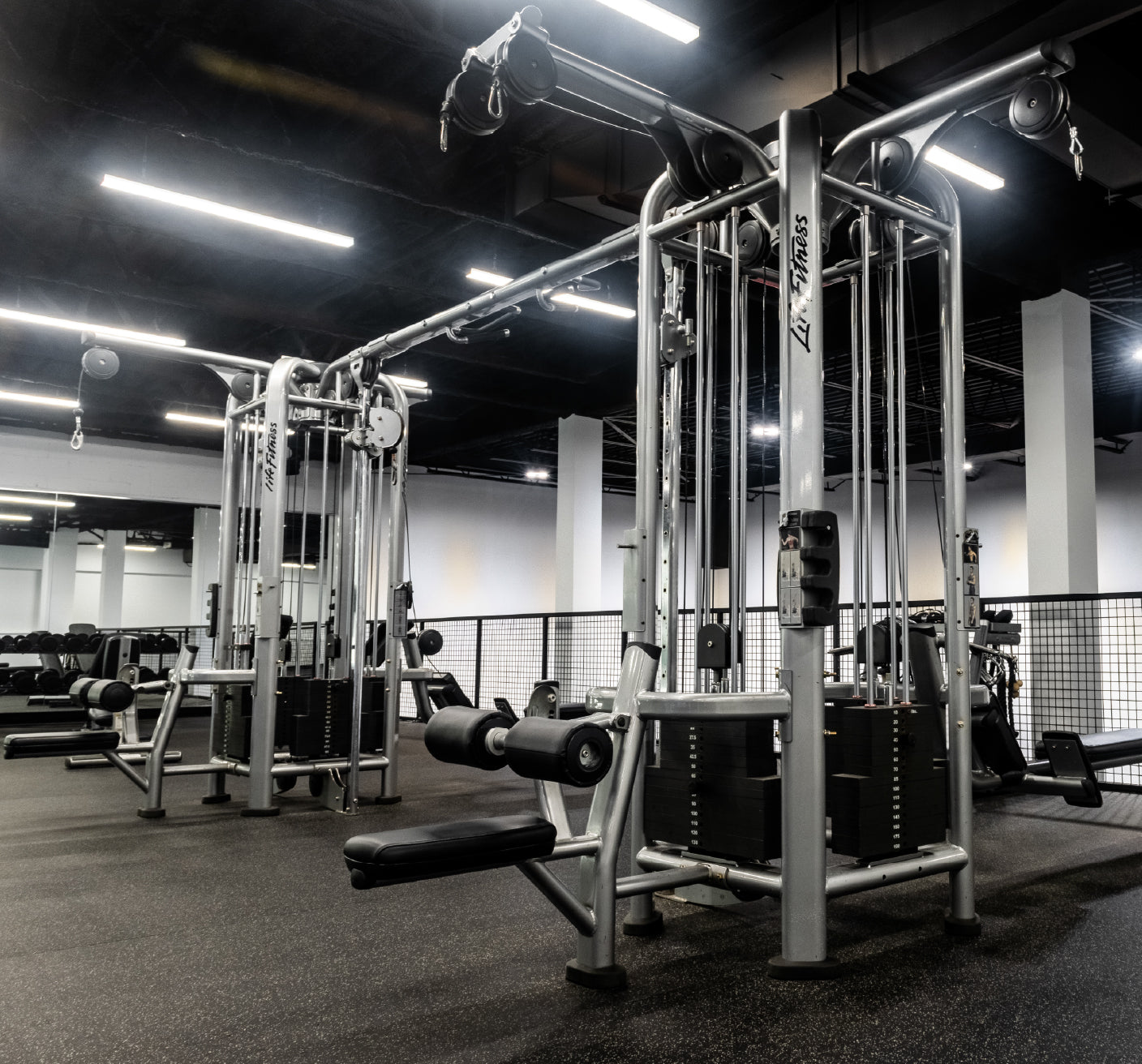 Studio to Squat Rack